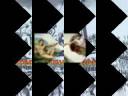 legendary paintings & sclupters  around the world