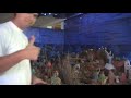 Blade MCx en el pecebre valencia venezuela