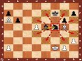 World Chess Championship 2010: Topalov vs. Anand - Game 10