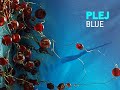 Plej - Blue [lounge]