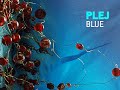 Plej - Blue [lounge]