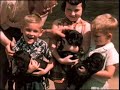 1953 West Virginia Family Reunion