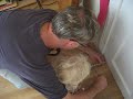 yankel fixes door
