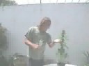 Parodia BNCR Manginho Productions