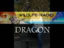 Wild-Life-Radio-Promo Wild-Life-Radio-Promo