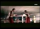 Video de Esta noche hay pelea de Wisin & Yandel