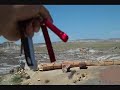 The Petrified Forest