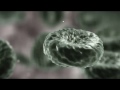 Youbleedred Requiem - Bounty Hunter Vid Teaser