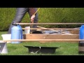 SP- Bunnies &amp; bunny showjumping (Floppsy)