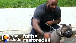 Watch This Guy Slowly Win Over His Rescue Dog Who Was Scared Of Men | The Dodo Faith = Restored by The Dodo