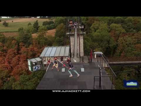 Bungy