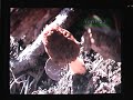 MOREL HUNTING