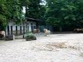 ZOO Leipzig 6 7 09 090