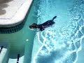 Yogi Swimming