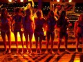 Shady Gators -- Official Miss Hawaiian Tropic Contest