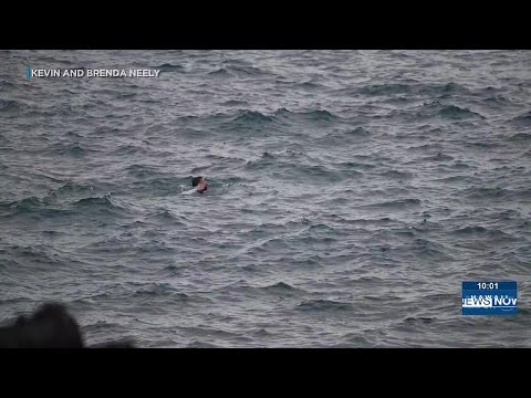 “Ho provato più che potevo”: l’uomo che ha cercato di salvare una vittima che stava annegando chiede sicurezza | Notizie sulle Hawaii adesso “Ho provato più che potevo”: l’uomo che ha cercato di salvare una vittima che stava annegando chiede sicurezza | Notizie sulle Hawaii adesso