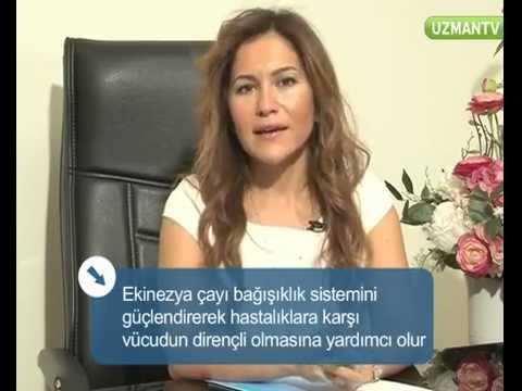 Ekinezya 0 Ekinezya