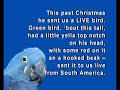 xmas-bird.html