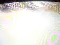 paride freestyle motocross