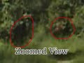 Ghost Footage Ghost Footage
