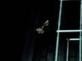  - MovieZen Video
