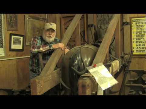 horses grand national