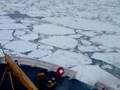 Icebreaker