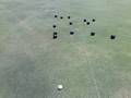 Albert Ross's Day ay the Bowls Club 221108.8.mp4
