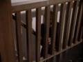 Short Film - 