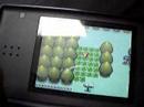 pokemon pearl/diamond shiny pokemon modifier lvl100