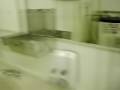 Flies in a Clean Bathroom on Rustamiya