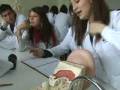 videos de Laboratorio de AnatomÃ­a Valdivia