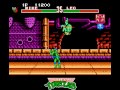 teenage mutant ninja turtles tournament fighters for nes