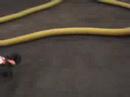Baja 5B on R/C Track