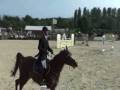 videos de Al Shaali Stables