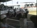 Horse Tripping -- Cruelty Disguised as Culture