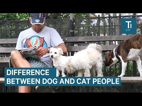 The differences between dog people and cat people