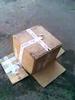 piticli-dando-vueltas-en-la-caja.html