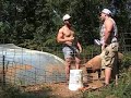 White Trash - Pig Dealership White Trash - Pig Dealership