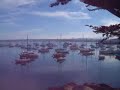 Monterey Bay