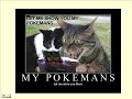 Funny kitty cat time
