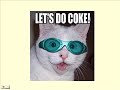 Funny kitty cat time Funny kitty cat time