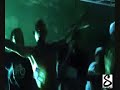 Tvoite Zeni (LIVE) - Synthetic