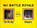 Wii cat vs dog