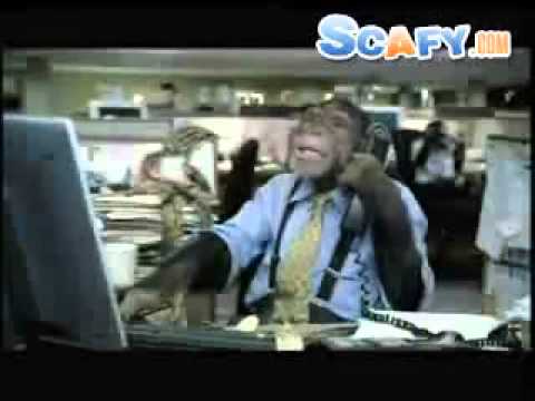 scafy -