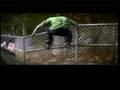 Ea Skate vs Tony Hawks Proving Ground