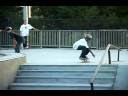 videos de Woggie