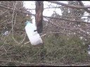 squirrel-vs-birdfeeder.html