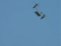 Bell-Boeing-Vertol V-22 Osprey Bell-Boeing-Vertol V-22 Osprey