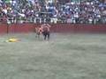videos de toreros comicos de yawar toro
